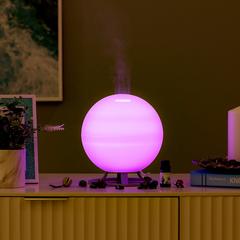 Danube Home Electric Diffuser (600 ml)