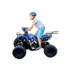 Myts Quad ATV Bike W/Reverse For Kids (150 cc, Blue)