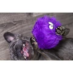 Furballz store dog toy