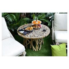 Pan Emirates Wildbranch Wooden Coffee Table (82 x 82 x 45 cm)