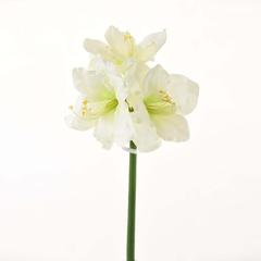 Danube Home Rejoice White Amaryllis Artificial Flower Bunch (83 cm)