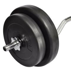 vidaXL Curl Bar with Weights 30 kg