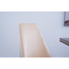 Pan Emirates Amador Velvet & Metal Dining Chair W/High Back (54 x 60 x 100 cm)