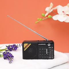 راديو قابل للشحن ثلاثي النطاق اولسن مارك OMR1273