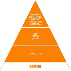 Be In A Good Mood Hopeful Mini Car Air Freshener (15 ml)