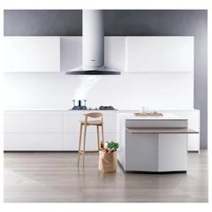 Robam Wall Mounted Range Hood, A829 (90 cm)