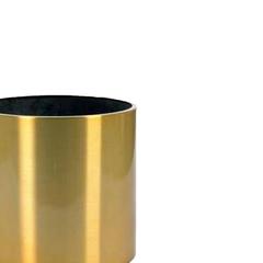 نبتة جوفر زهرة الصحراء الخارجية (40 سم)