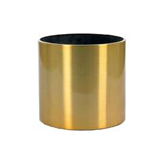 نبتة جوفر زهرة الصحراء الخارجية (40 سم)