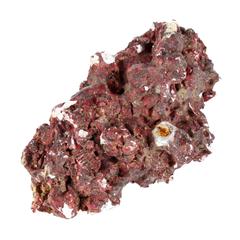 Real Reef Rock Mix, RF9001-250 (250 g)
