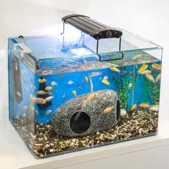 Foshan 5-In-1 Perfect Glass Tank (52 cm)