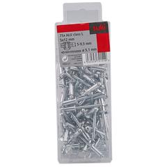 Aluminium Rivets (5 x 10 mm, Pack of 100)