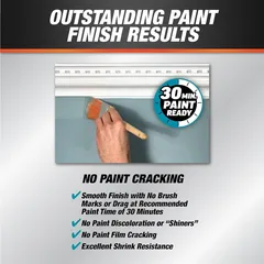 DAP Alex Plus Acrylic Latex Caulk Plus Silicone (300 ml, White)
