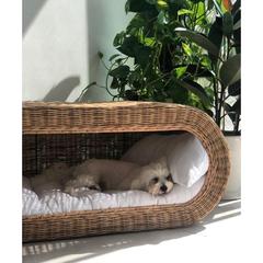 Wood Culture Rattan Pet Bed (90 x 50 x 40 cm)