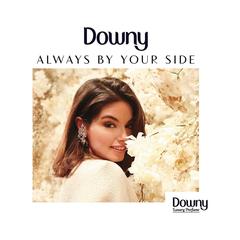 Downy Concentrate Fabric Softener (Vanilla & Cashmere Musk, 880 ml, Pack of 2)