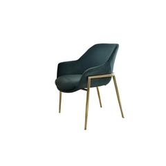Pan Emirates Docien Fabric & Metal Dining Chair (68 x 65 x 79 cm)