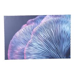 Danube Home Lorena Super Big Purple Leaves Canvas Wall Art