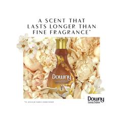 Downy Concentrate Fabric Softener (Vanilla & Cashmere Musk, 880 ml)