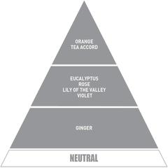 Be in A Good Mood Reed Diffuser - Neutral Earl Grey