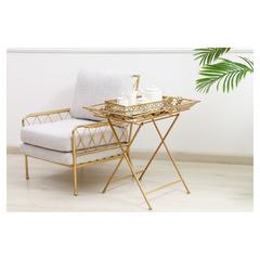 PAN Emirates Teana Metal Foldable End Table (67 x 46 x 65 cm)