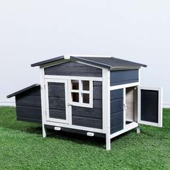 Danube Home Wooden Chicken Coop, Xpt008 (110 x 63 x 72.5 cm)