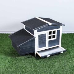 Danube Home Wooden Chicken Coop, Xpt008 (110 x 63 x 72.5 cm)