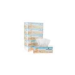 Marjaan 2-Ply Facial Tissue Pack (200 Pulls, 5 Box)