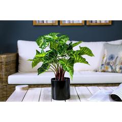 Pan Emirates Philo Artificial Plant (45 cm)