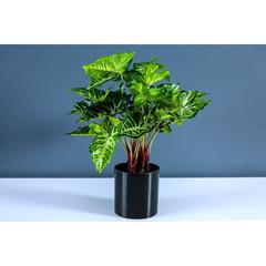 Pan Emirates Philo Artificial Plant (45 cm)
