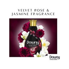 Downy Concentrate Fabric Softener (Velvet Rose & Jasmine, 880 ml)