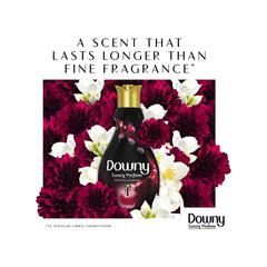 Downy Concentrate Fabric Softener (Velvet Rose & Jasmine, 880 ml)