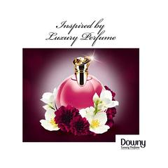 Downy Concentrate Fabric Softener (Velvet Rose & Jasmine, 880 ml)