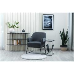 Pan Emirates Anayo Fabric & Metal Accent Chair (67 x 77 x 85 cm)