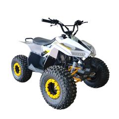 Myts Off-Road ATV Fully Automatic Quad Bike (80 cc, Yellow)