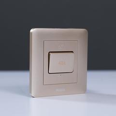 مفتاح كهرباء DP 45A مع مؤشر LED Gd Ps ميلانو (3 × 3 سم)
