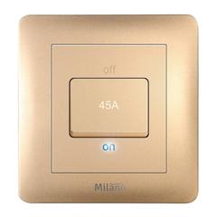 مفتاح كهرباء DP 45A مع مؤشر LED Gd Ps ميلانو (3 × 3 سم)