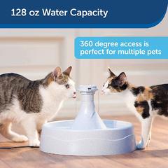 Drinkwell 360 Pet Fountain