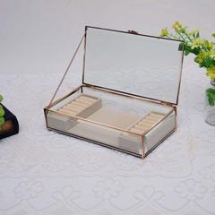 Danube Home Caroline Metal Glass & Velvet Jewellery Box (28 x 15 x 7 cm)