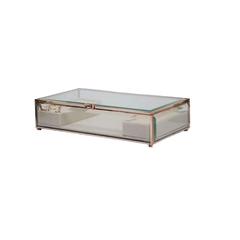 Danube Home Caroline Metal Glass & Velvet Jewellery Box (28 x 15 x 7 cm)