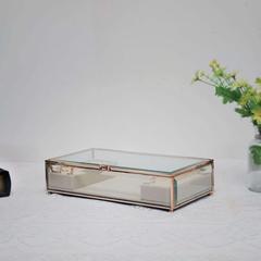 Danube Home Caroline Metal Glass & Velvet Jewellery Box (28 x 15 x 7 cm)