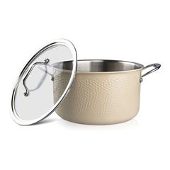 Fissman Brigitte Stainless Steel Stockpot W/Glass Lid (24 cm)