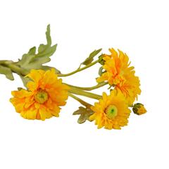 Danube Home Rejoice Yellow Wild Chrysanthemum Artificial Flower Stem (66 cm)