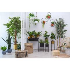 شجرة البتولا الاصطناعية حول الإمارات (152 سم)
