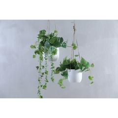 Pan Emirates Mystiga Terracotta Hanging Planter (15 x 15 x 12 cm)