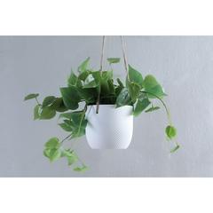 Pan Emirates Mystiga Terracotta Hanging Planter (15 x 15 x 12 cm)