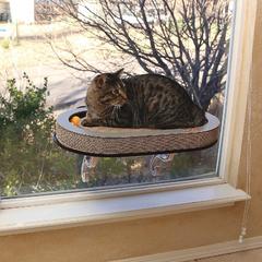 K&H Pet Products Universal Mount Kitty Sill Cat Window Perch (35 x 61 cm)