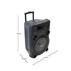 Nobel Trolley Speaker, NSP222T (120 W)