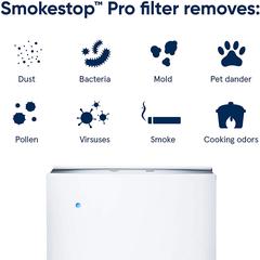 Blueair Air Purifier SmokeStop Filter For Pro Series, FPROSM (Black)