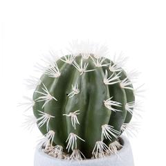 Mini Artificial Cactus Plant (20 cm, Green)