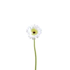 Danube Home Rejoice White Gerbera Daisy Artificial Flower Stem (61 cm)