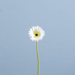 Danube Home Rejoice White Gerbera Daisy Artificial Flower Stem (61 cm)